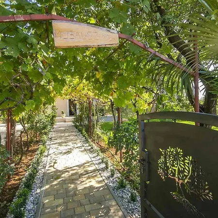 Oliva Villa *